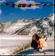 Darjeeling Gangtok Package Tour from NJP – Best Itinerary for a Memorable Journey