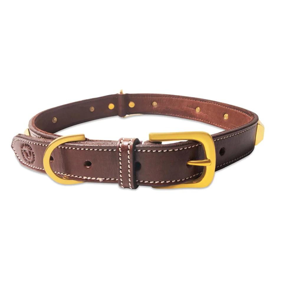 Leather Dog Collar: A Timeless Choice for Comfort, Style, and Durability