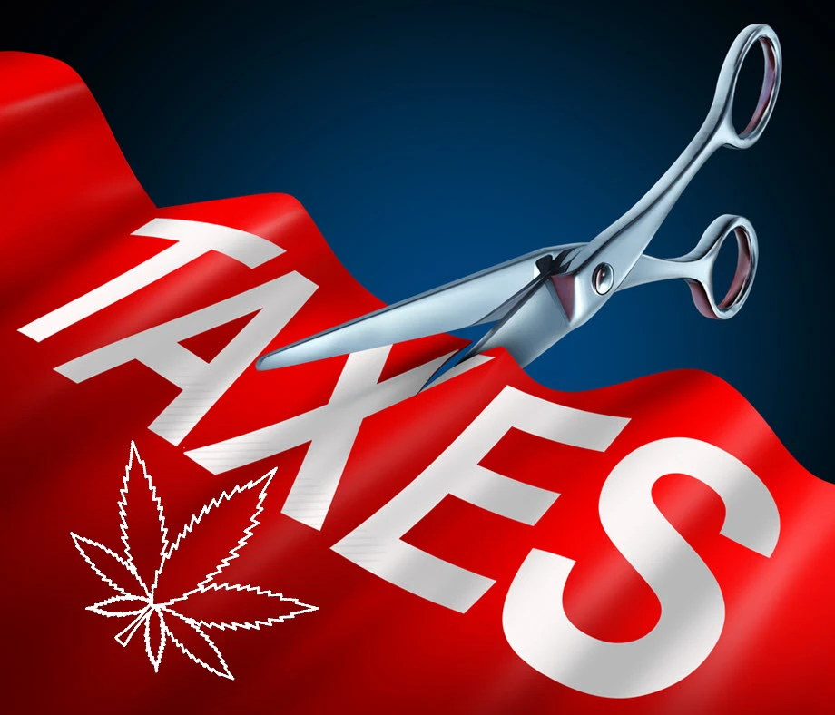 Top Tax Advisor Trends To Watch In 2025: Expert Insights For Businesses