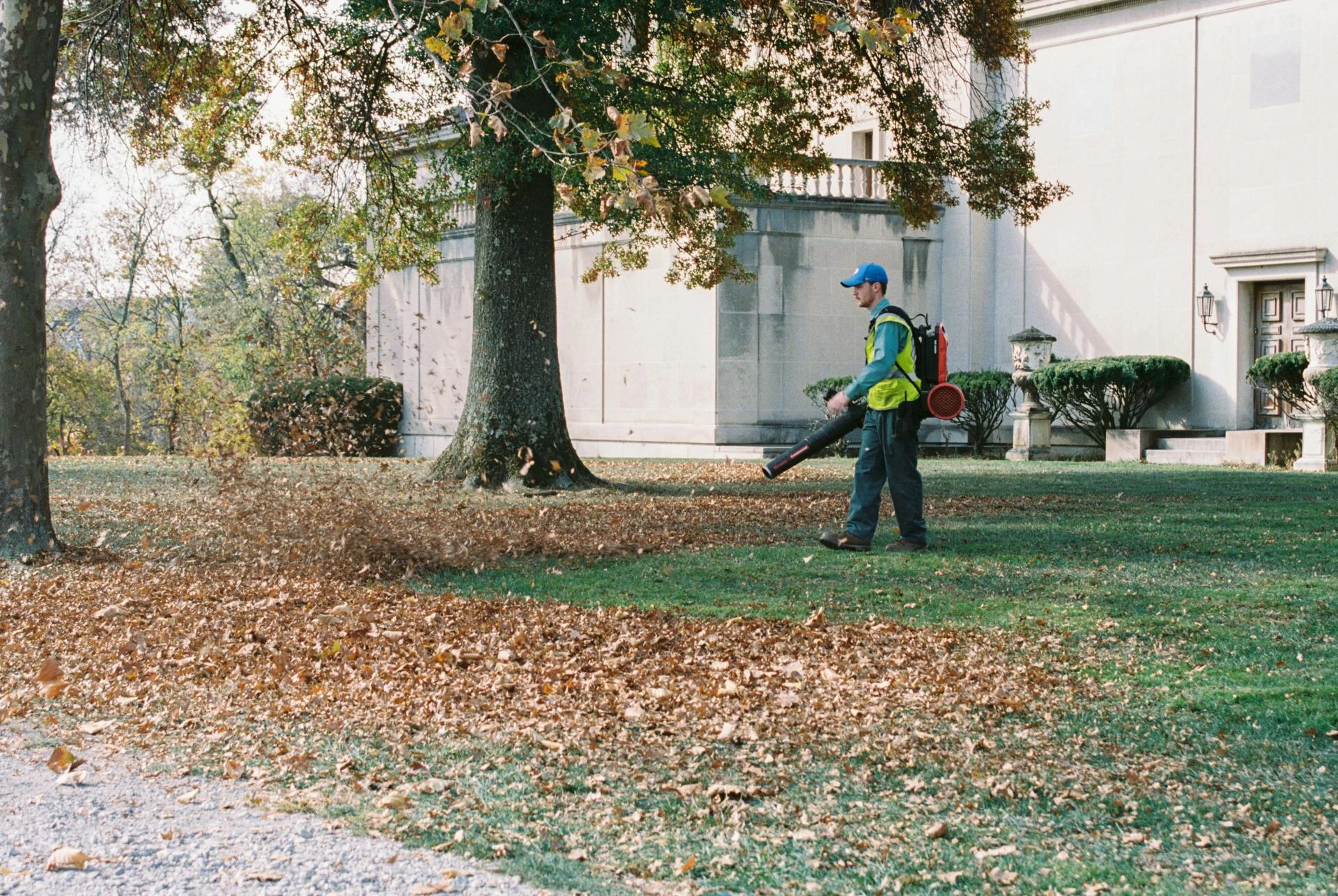 Simple Ways Landscaping and Lawn Care Experts Keep Yards Beautiful in Baton Rouge, LA